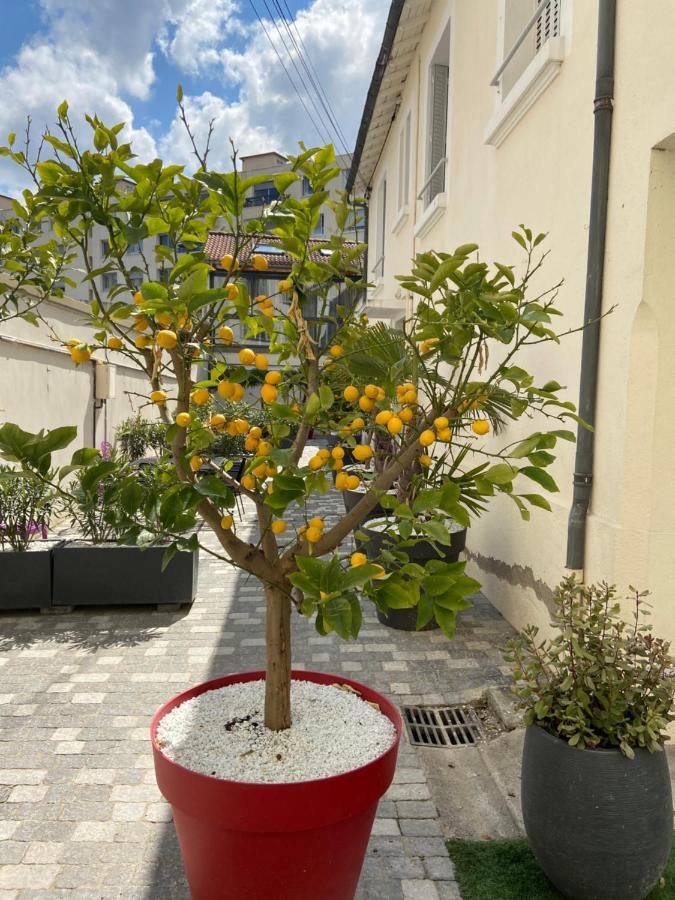 Nid D Amour F1 40M2 Calme Rdc Possibilite Jacuzzi Hammam Chamalières Exterior foto